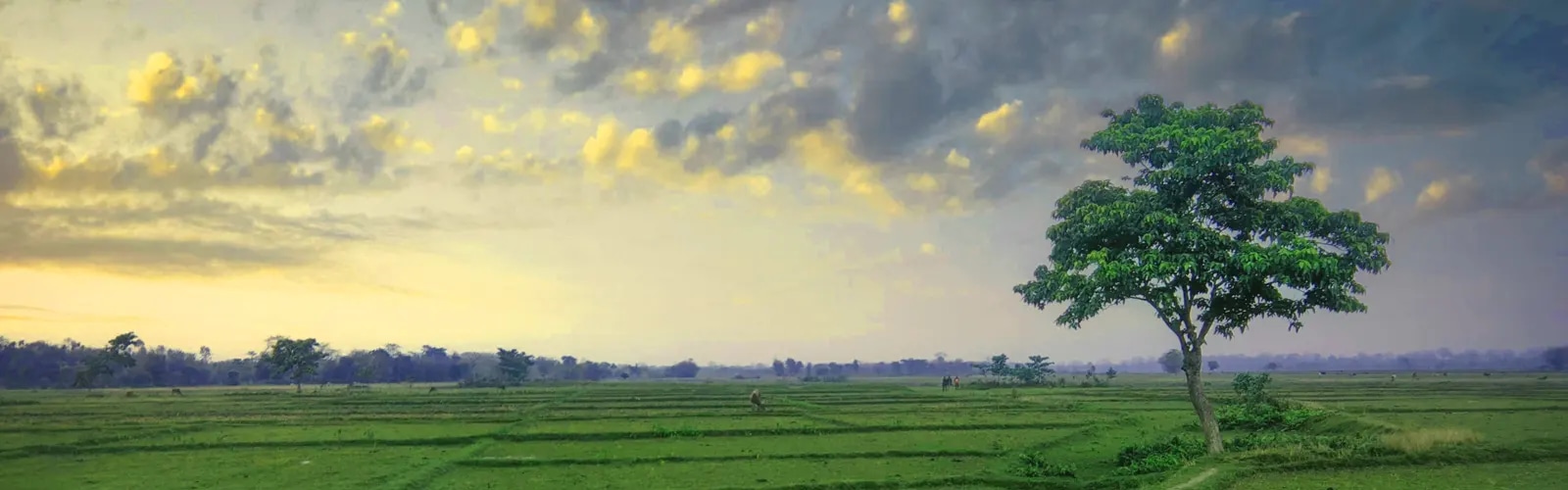 Alipurduar