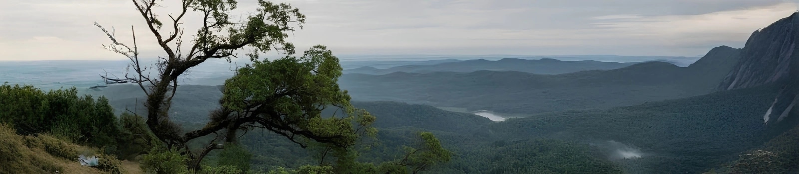 Chikmagalur