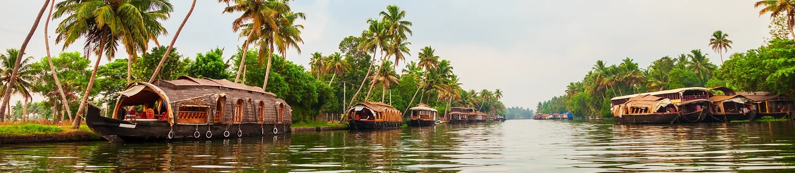 Kerala Beaches & Backwaters