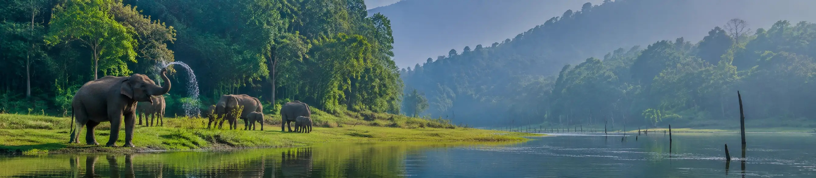 Periyar Wildlife