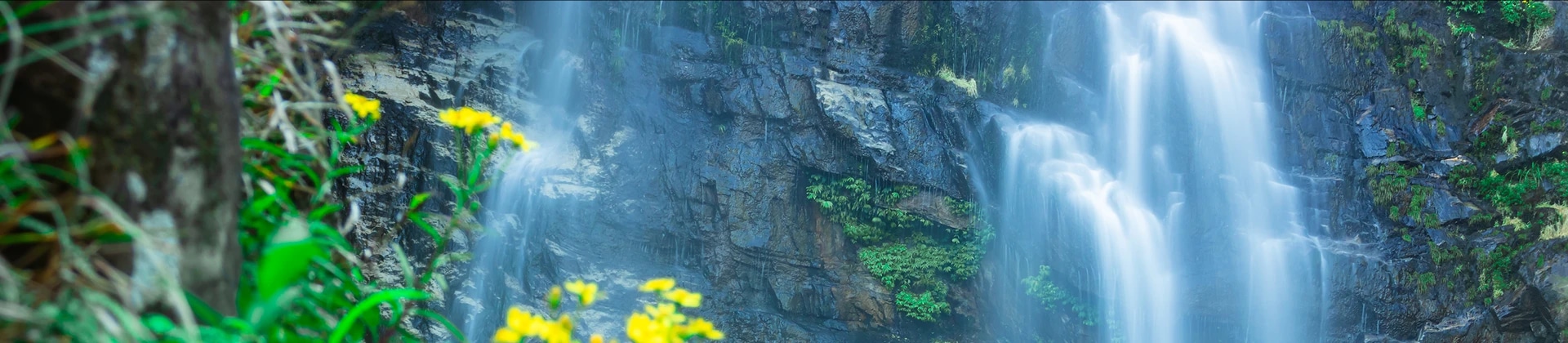 Shillong Meghalaya