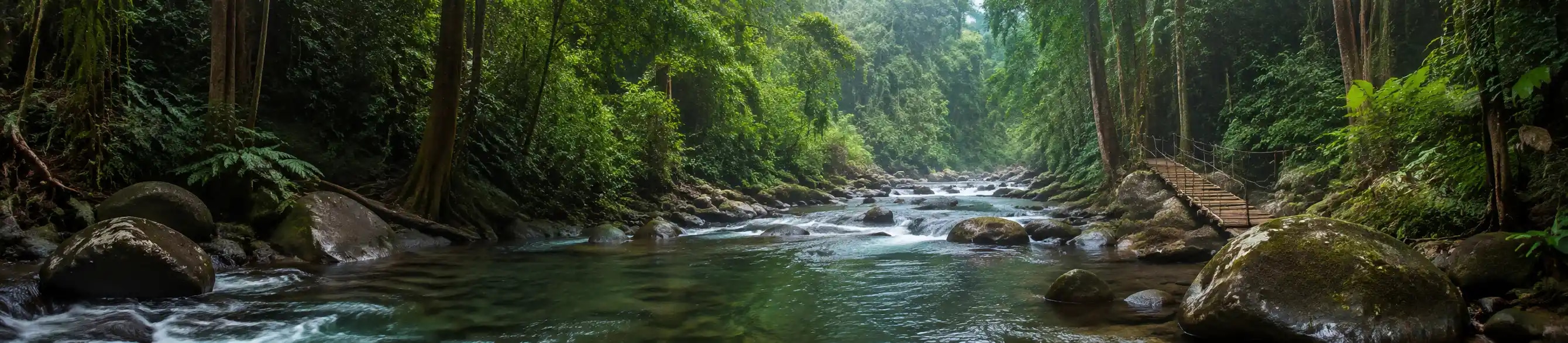 Silent Valley National Park