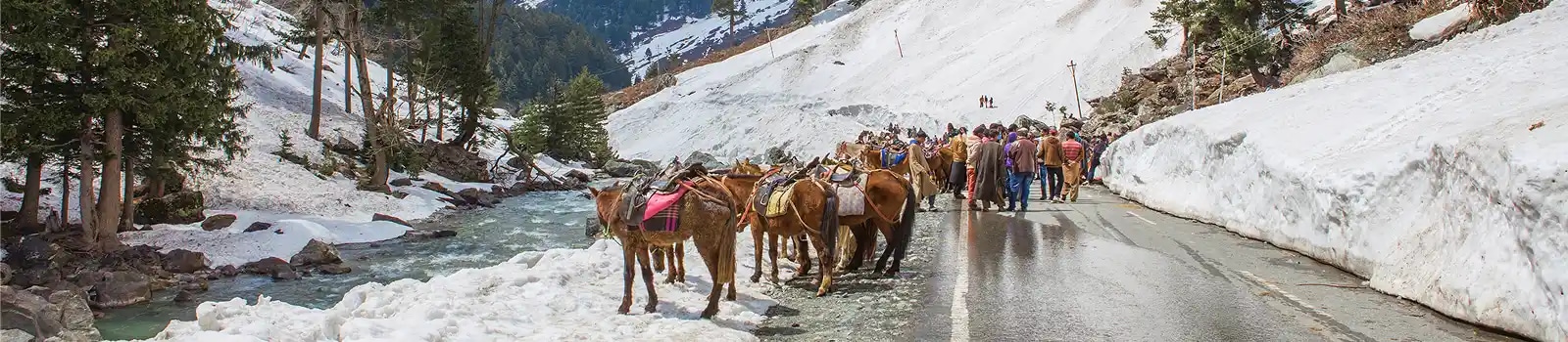 Jammu & Kashmir
