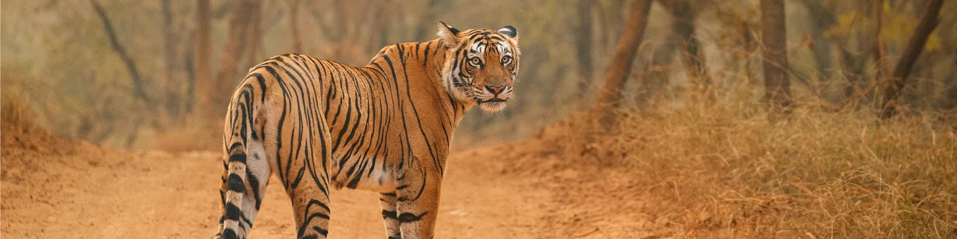 Bassi Wildlife Sanctuary