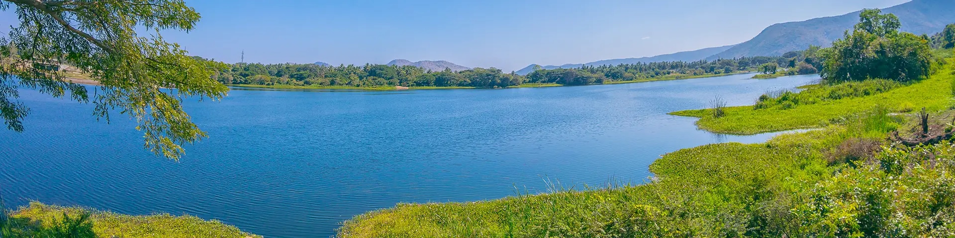 Bhadra Wildlife Sanctuary