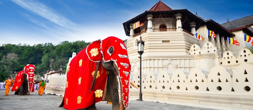 Gems of Sri Lanka – Must-Visit Places