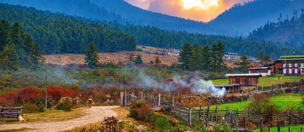 Phobjikha Trekking