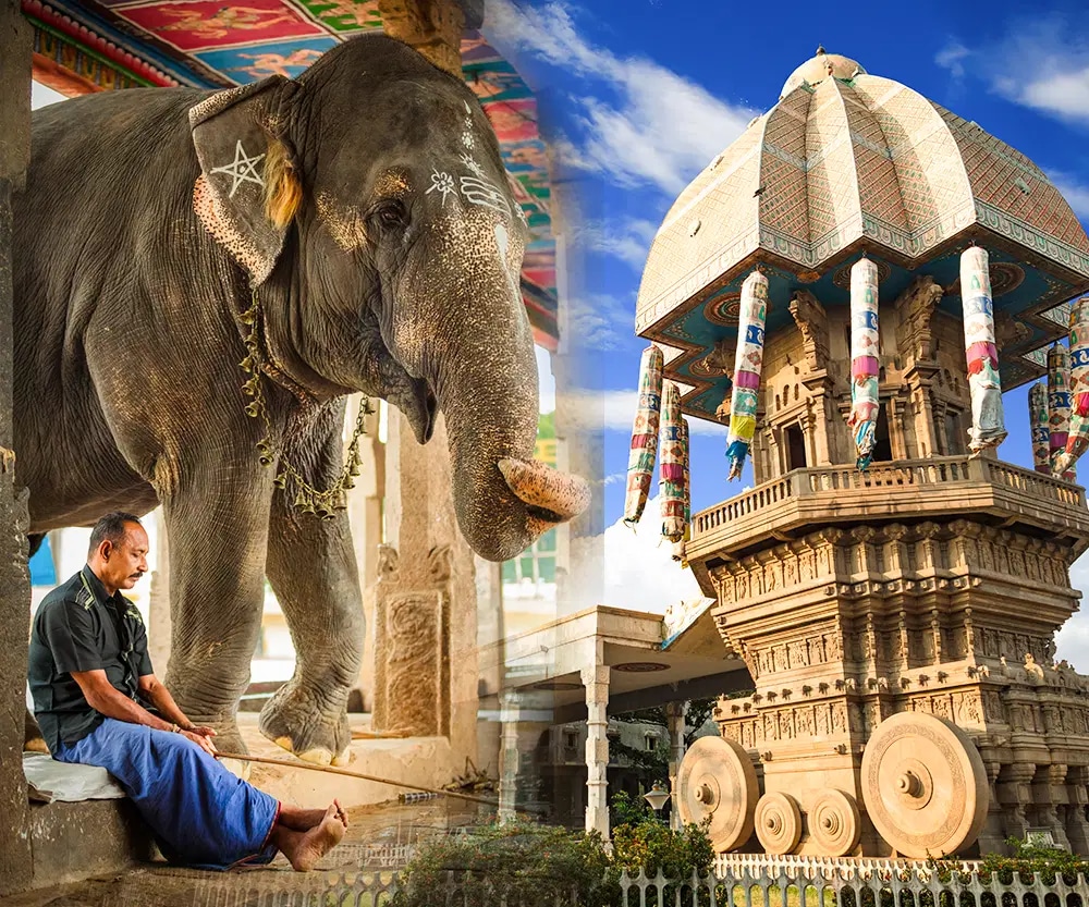 South India Tour Packages