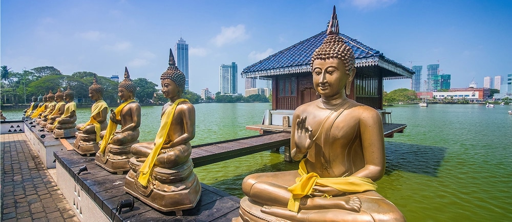 Kandy to Colombo Tour Culture & City Highlights