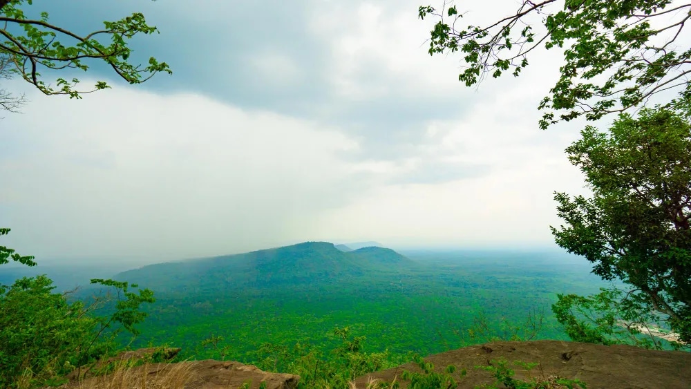 South India Hill Station Tour