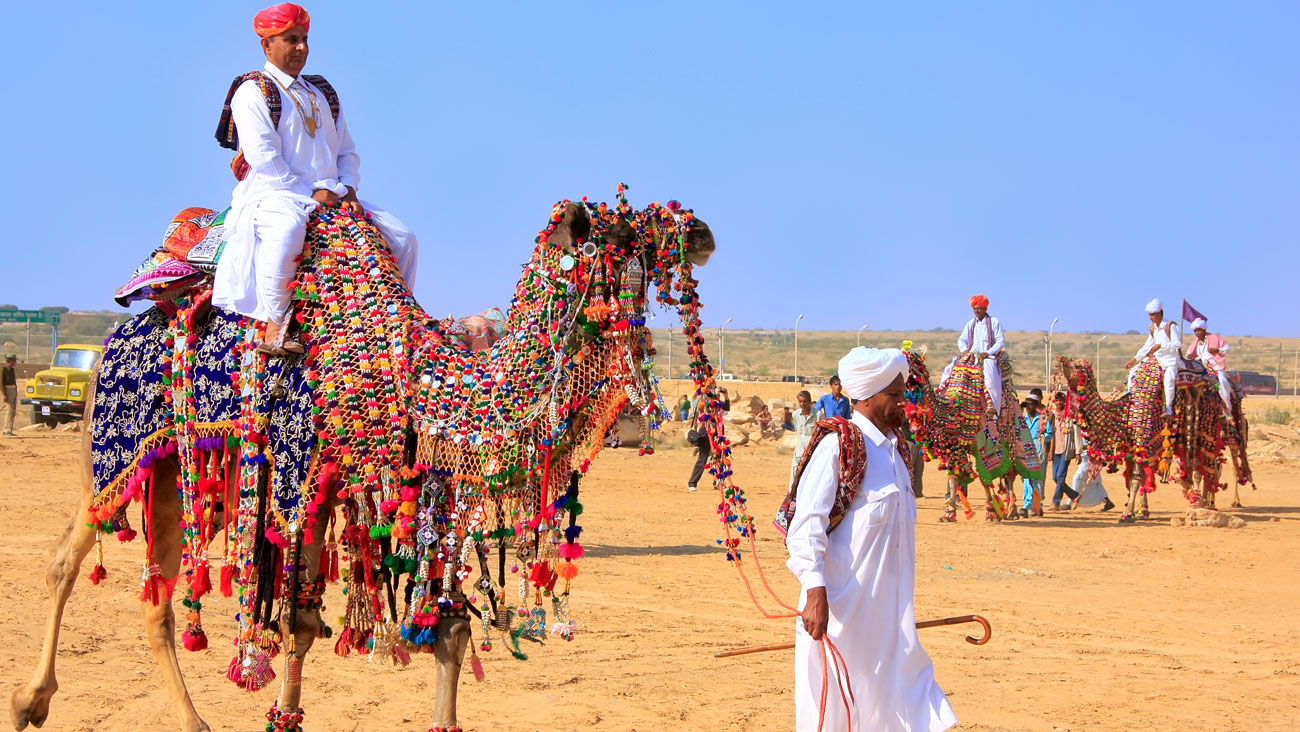 Camel Safari Tour