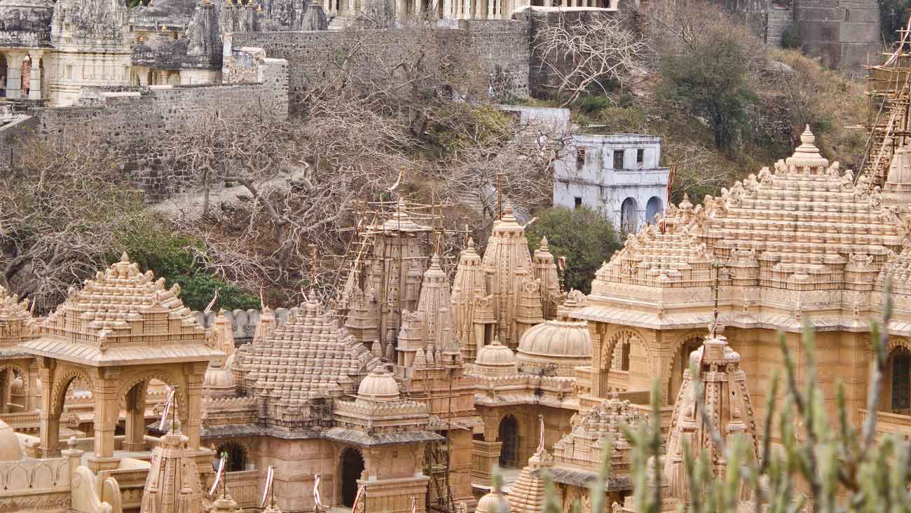 Charming Faces Of Gujarat