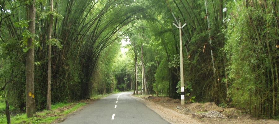 12 Beautiful Roads In India – Indian Panorama | Indian Panorama
