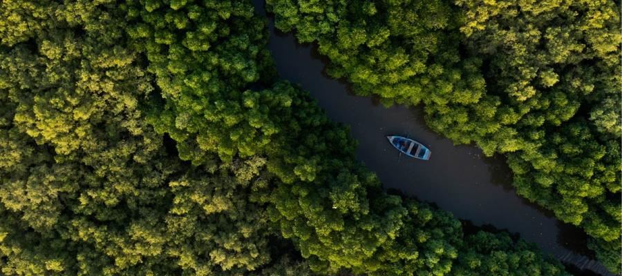 Pichavaram | Indian Panorama