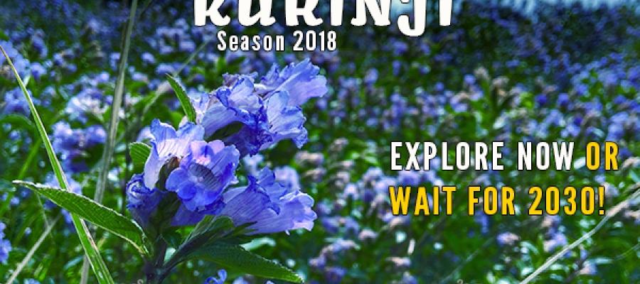 Neelakurinji-2018 | Indian Panorama