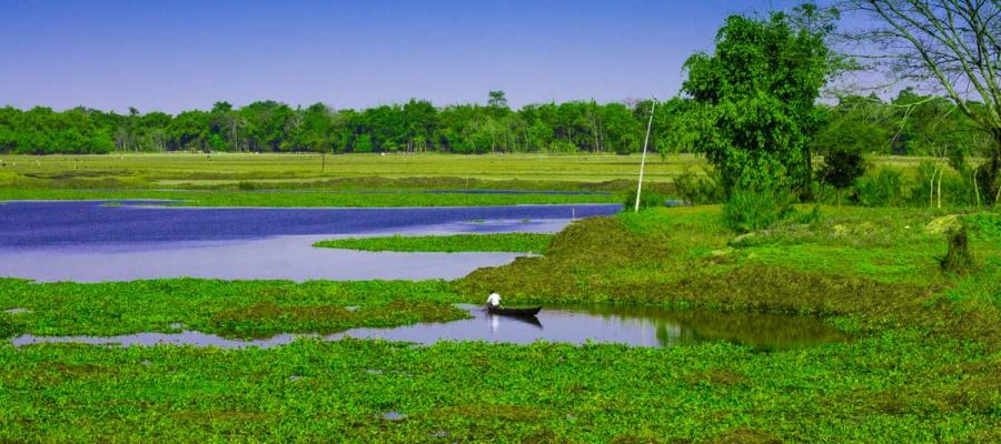 Majuli Island in India, World’s largest river island | Indian Panorama