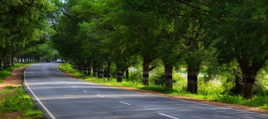 Why is a trip to South India good for your mental health in 2021? | Indian Panorama
