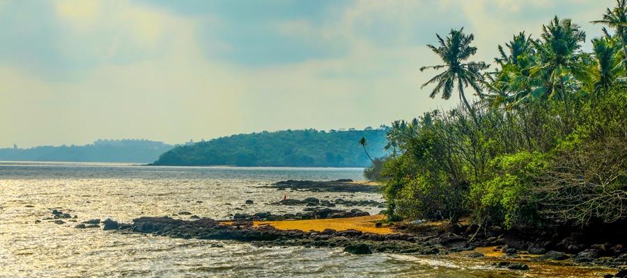 Must Visit Bioluminescent Glowing Beaches In India