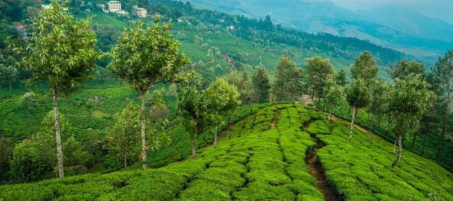 Kerala Monsoon 2025 Experience “God’s Own Country” transforming into a “God’s Own Paradise” | Indian Panorama