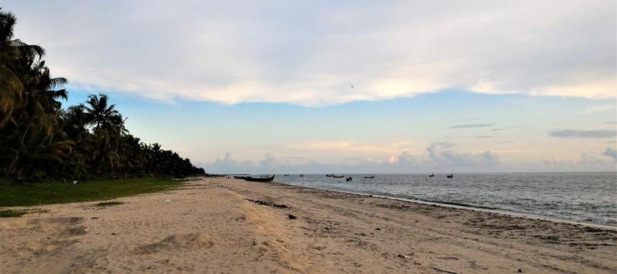 The golden sands of Marari | Indian Panorama