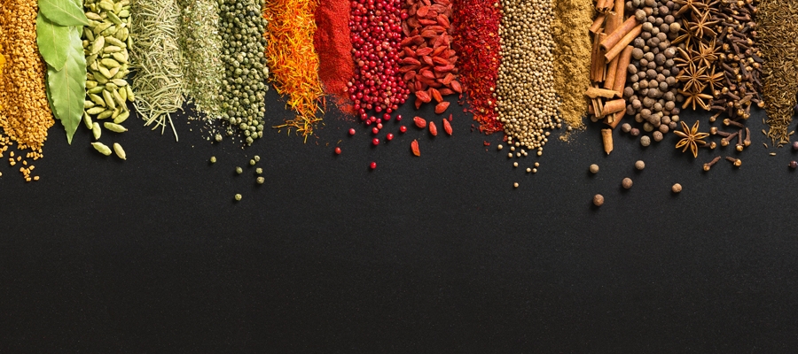 Spice Plantation Tour | Indian Panorama